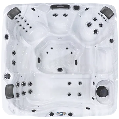 Avalon EC-840L hot tubs for sale in Ocala