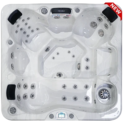 Avalon-X EC-849LX hot tubs for sale in Ocala