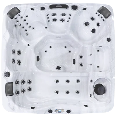 Avalon EC-867L hot tubs for sale in Ocala