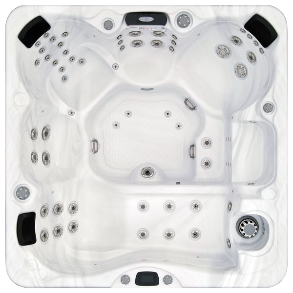 Avalon-X EC-867LX hot tubs for sale in Ocala